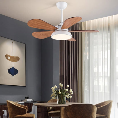 Nordic Frequency Conversion Cartoon Reversible Noiseless Kids Ceiling Fan with Lights