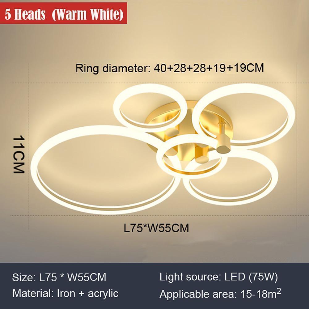 Circular Ring Dimmable LED Modern Flush Mount Lighting Ceiling Lights